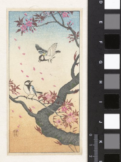 Twee koolmezen bij bloesemende boom door Ohara Koson