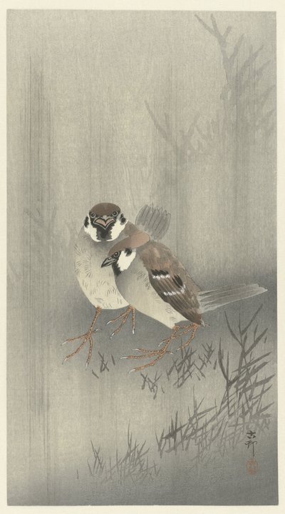 Twee ringmussen in de regen door Ohara Koson