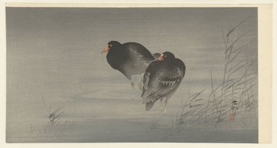 Twee waterhoentjes door Ohara Koson