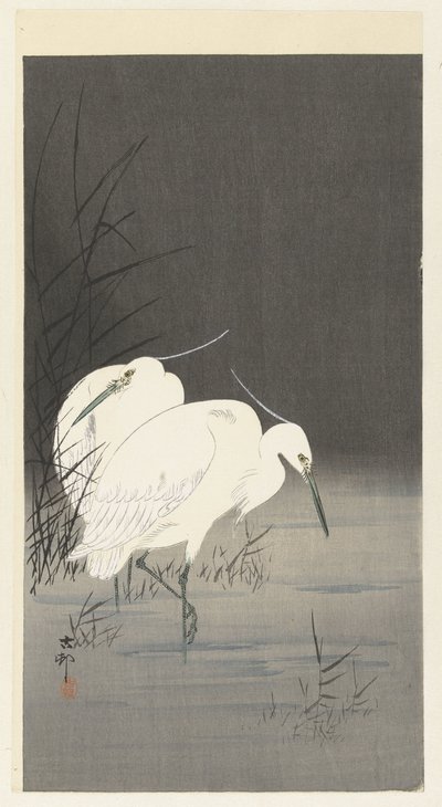 Twee zilverreigers in het riet door Ohara Koson