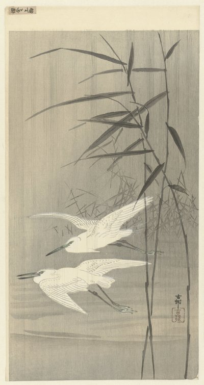 Twee zilverreigers in vlucht door Ohara Koson