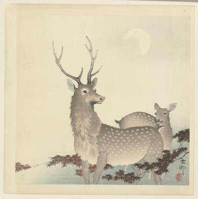 Twee herten door Ohara Koson