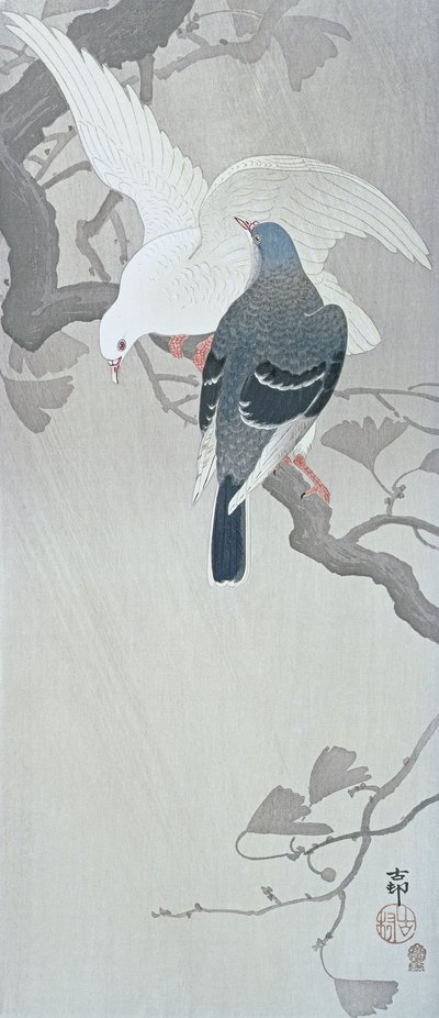 Twee duiven in de regen op een tak van een Ginkgoboom door Ohara Koson