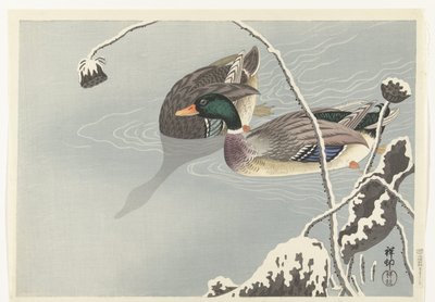 Twee wilde eenden bij een met sneeuw bedekte lotus door Ohara Koson
