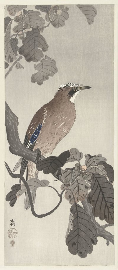 Vlaamse gaai op boomtak door Ohara Koson