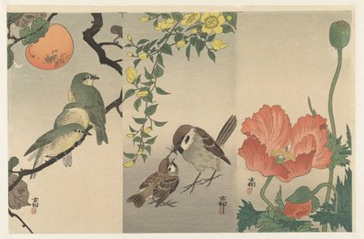 Vogels en planten door Ohara Koson