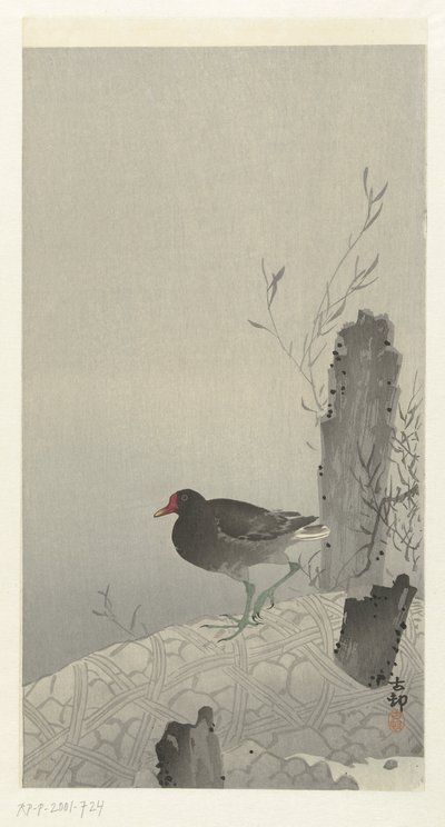 Waterhoen door Ohara Koson