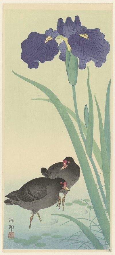 Waterhoentjes en iris door Ohara Koson