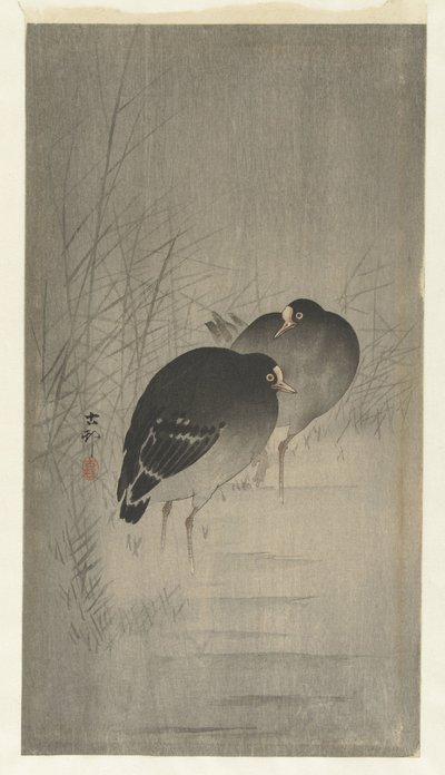 Waterhoentjes tussen riet door Ohara Koson