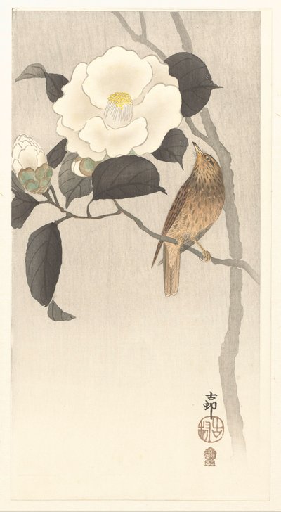 Zangvogel en bloeiende camellia door Ohara Koson