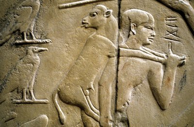 Detail van een reliëf dat een man toont die een offerdier draagt door Old Kingdom Egyptian