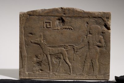 Reliëf met een dwerg en een jachthond genaamd Ebony, 4e-5e Dynastie, 2573-2311 v.Chr. (kalksteen) door Old Kingdom Egyptian