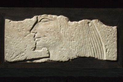 Reliëffragment, 5e-6e Dynastie, 2454-2140 v.Chr. (kalksteen) door Old Kingdom Egyptian