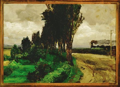 Spoor in het landschap - Spoor in een landschap ... door Olga Wisinger Florian