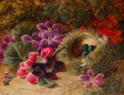 Een vogelnest en geraniums door Oliver Clare
