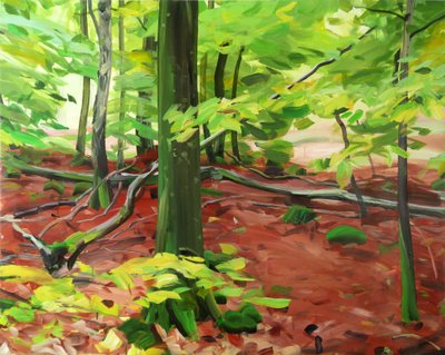 Forêt 5 door Olivier Morel