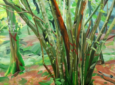 Forêt 8, 9 januari 2015 door Olivier Morel