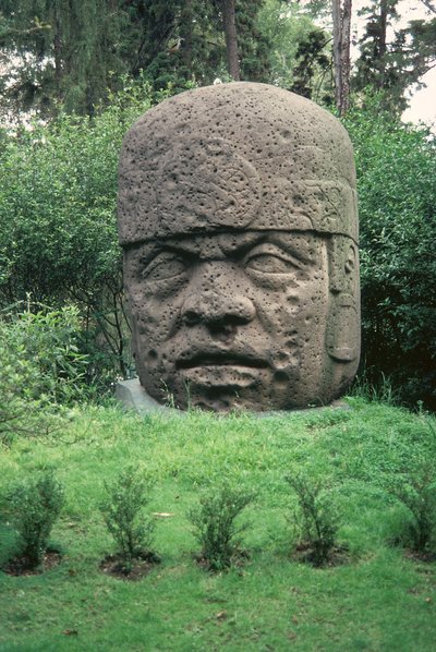 Kolossaal hoofd door Olmec