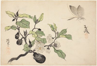 Aubergine met fruit en bloemen door Onishi Chinnen