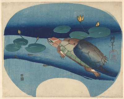 Waaierprent met tussen waterlelies zwemmende schildpad door Onishi Chinnen