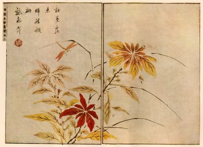 Libelle met planten, 1746, 1924 door Ooka Shunboku