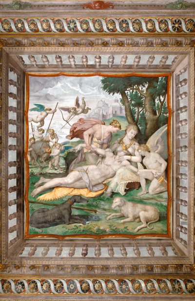 Dood van Adonis, plafond van de Kamer van Adonis, Rocca dei Rossi, San Secondo, Parma, Italië (detail) door Orazio (attr.to) Samacchini