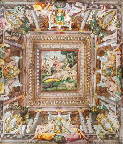 Zicht op het plafond van de Kamer van Adonis en de gedenkstenen van familieleden Rossi, Gonzaga, Riario en Medici, Rocca dei Rossi, San Secondo, Parma, Italië door Orazio (attr.to) Samacchini