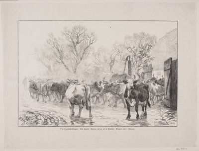 De koeien worden uit de stal gedreven. Late ochtend in oktober door Oscar Andersen