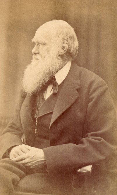 Portret van Charles Darwin op 72-jarige leeftijd, ca. 1871 door Oscar Gustav Rejlander