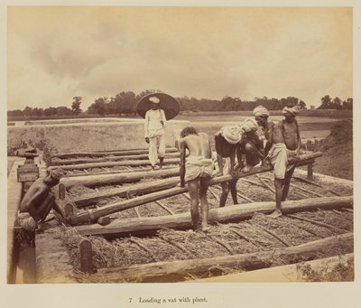 Een vat laden met planten door Oscar Jean Baptiste Mallitte