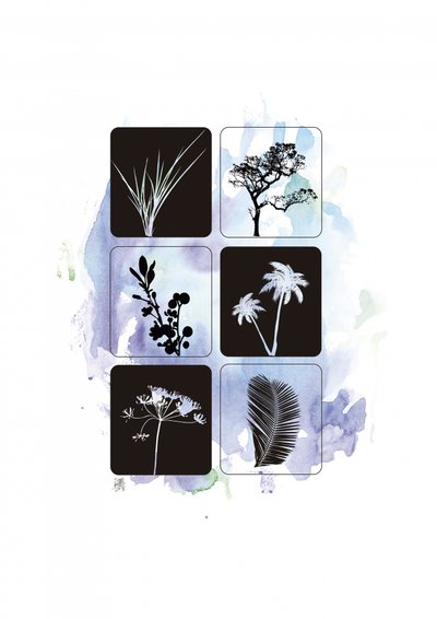 Botanische silhouetten in aquarel door Osvaldo Russo