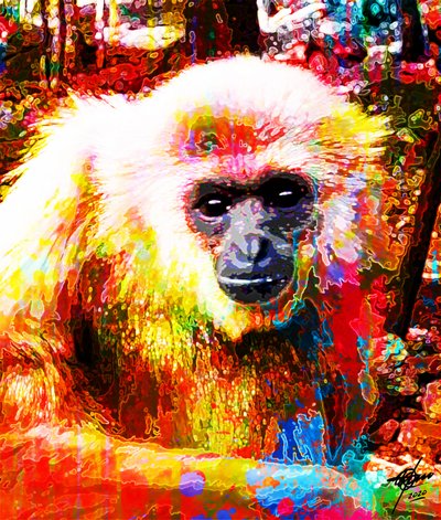 Levendig portret van een gibbon door Osvaldo Russo