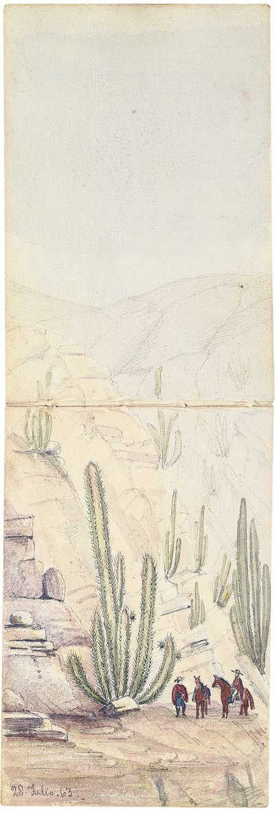 Cactussen in diepe "Quebrada", 1863 door Oswald Younghusband