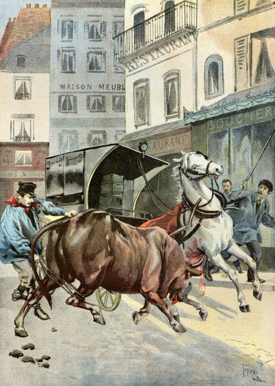 een stier ontsnapt aan zijn voogd,1895 (Illustratie) door Oswaldo Tofani