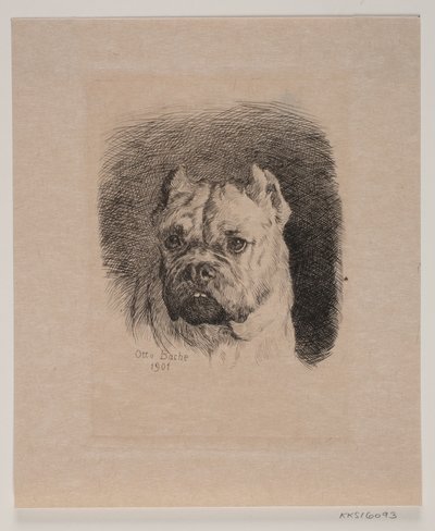 Een hondenkop door Otto Bache