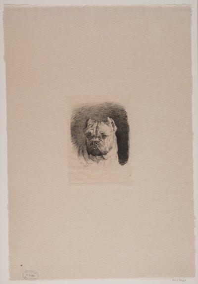 Een Hondenkop door Otto Bache