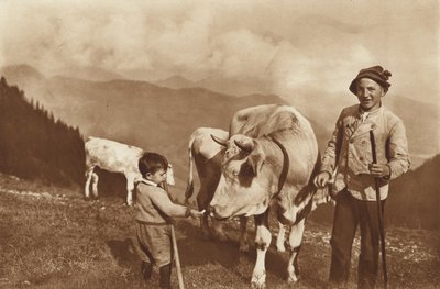 Op de Alp door Otto Ballerstedt