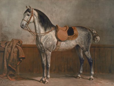 Lipizzaner door Otto Eerelman