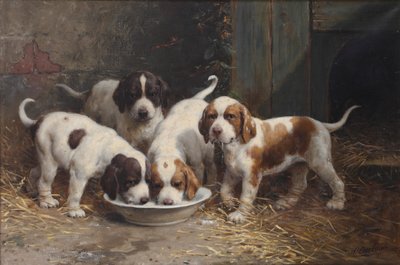 Sint Bernard puppies die melk drinken door Otto Eerelman