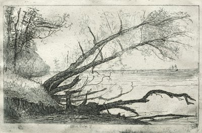 Oude esdoorn, 1877 door Otto H. Bacher