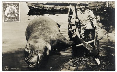 Duitse jager met nijlpaard, Duits Oost-Afrika, ca. 1910 door Otto Haeckel