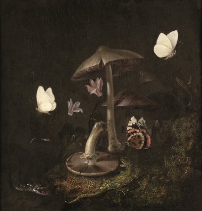 Een 