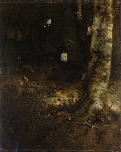 Bosgrond met een slang, hagedissen, vlinders en andere insecten door Otto Marseus  van Schrieck