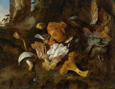 Bosbodem stilleven met paddenstoelen, vlinders en een slang door Otto Marseus  van Schrieck