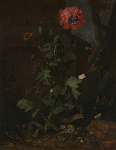 Stilleven met Klaproos, Insecten en Reptielen, ca. 1670 door Otto Marseus  van Schrieck