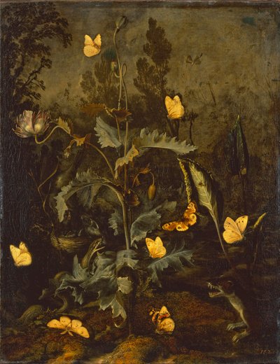 De slang bij het vogelnest / Papaver met vogelnest, slang, vlinders en een wezel door Otto Marseus  van Schrieck