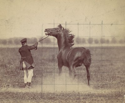 Paard, 1884 door Ottomar Anschütz