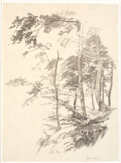 Beukenbomen op een helling door P.C. Skovgaard
