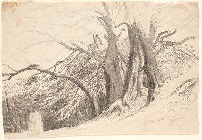 Een helling met grote bomen in een bos, met twee wandelende dames door P.C. Skovgaard