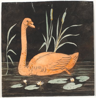 Een zwaan op zwarte achtergrond. Decoratief ontwerp. door P.C. Skovgaard